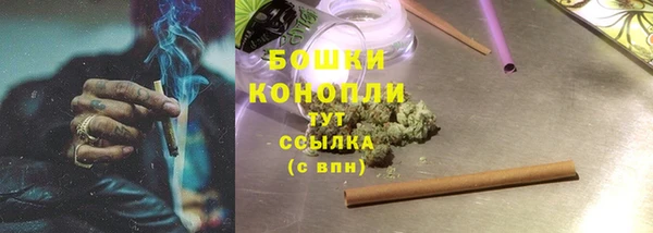 шишки Армянск
