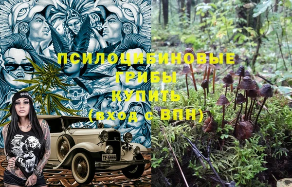 МДПВ Балахна