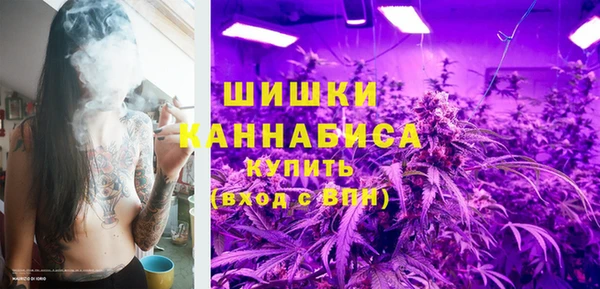 шишки Армянск