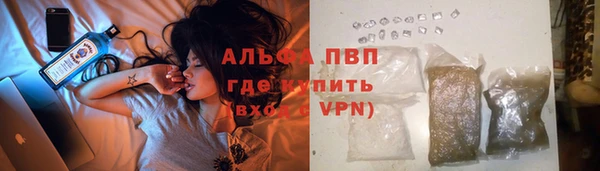 шишки Армянск