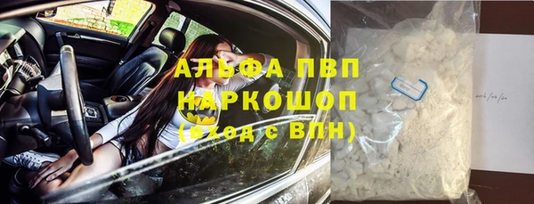 PSILOCYBIN Баксан